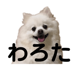 467703408