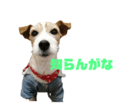 467764151
