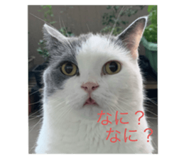 467924789
