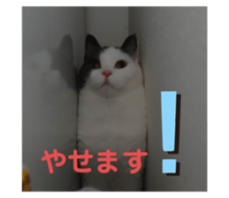 467924799