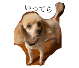 468007410