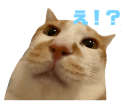 468034493