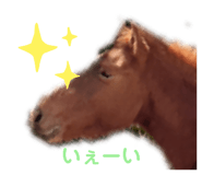 468266186