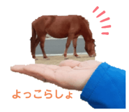 468266187