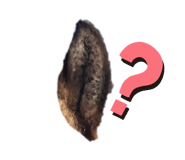 468266189