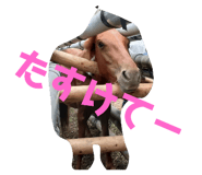 468266192