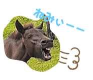 468266197