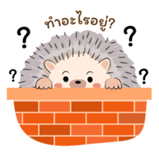 ลายที่ 3