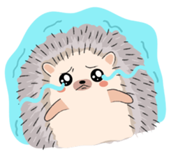 ลายที่ 9