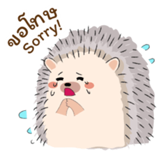 ลายที่ 11