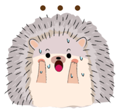 ลายที่ 17