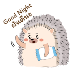 ลายที่ 29