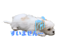 468289829