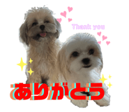 468289830