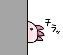 468483990