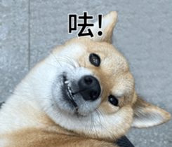 468504763