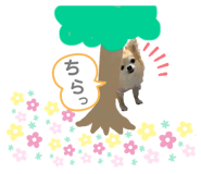 468513520