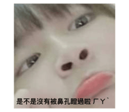 468515219