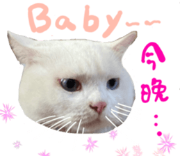 468534438