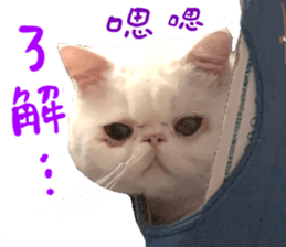 468534442