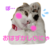 468549851