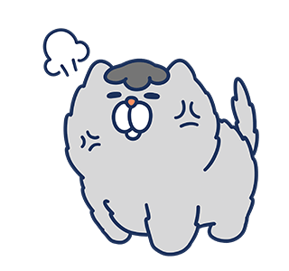 เจ้าแมวจอลลี่จอมป่วน รูปที่ 15