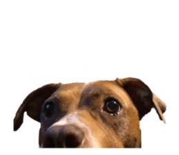 468570514