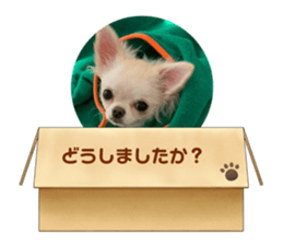 468582364