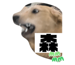 468833843