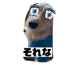 468833858