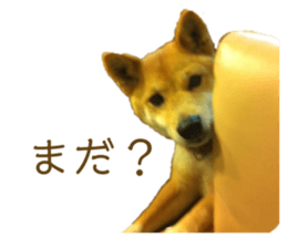 468848994