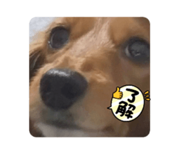 468897335