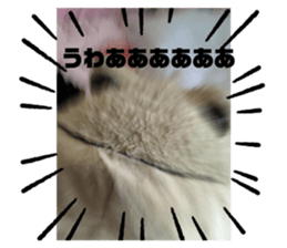 469111781