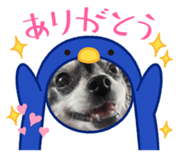 469183732