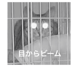 469277327