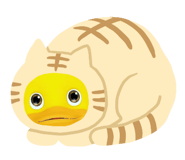469371355