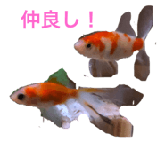 469381571