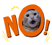 469425580