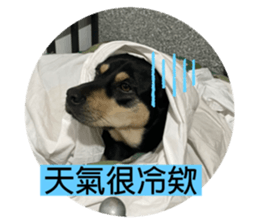 469473858