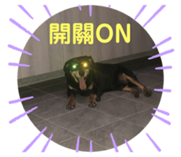 469473859