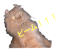469492122