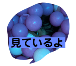 469544059