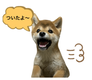469551369