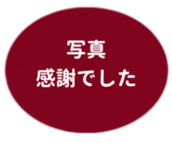 469658493