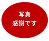 469658852
