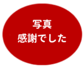 469658853