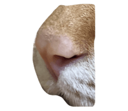 469697799