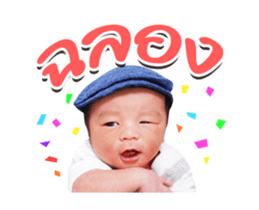 469731294