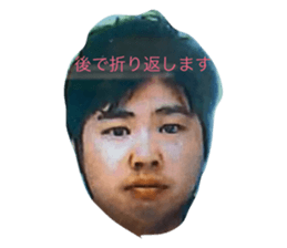 46976764