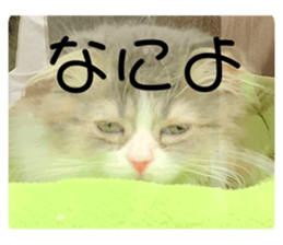469805210